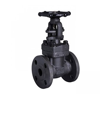 Forged Steel Gate Valve